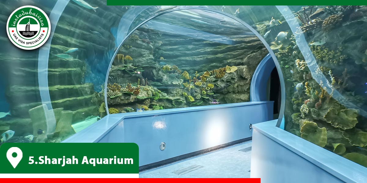 sharjah aquarium from instadubaivisa